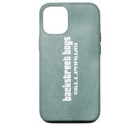 Backstreet Boys - Millenium Faded Green Case for iPhone 12/12 Pro
