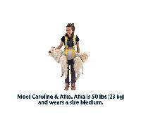 BackTrak™ Dog Evacuation Kit Cloudburst Gray - Medium