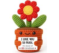 BackURyear Gifts for Her Wife Girlfriend, Handmade I Love You Anniversary Wedding Valentine’s Day Birthday for Women Couple, Romantic Mini Crochet Red Flower Present