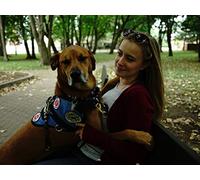 Backwards Birds And Slimy Sea Creatures