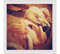 Backwords - By the Neck