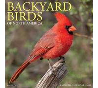 Backyard Birds 2026 12 X 12 Wall Calendar