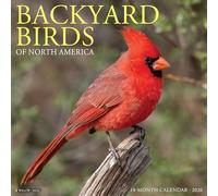 Backyard Birds 2026 12 X 12 Wall Calendar