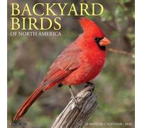 Backyard Birds 2026 12" x 12" Wall Calendar