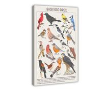 Backyard Birds Educational Canvas Poster Bedroom Decor Landscape Office Room Decor Gift 16x24inch(40x60cm)