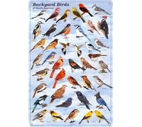 Backyard Birds Educational Science Chart Poster 8x12 Inches Retro Vintage Decor Sign Metal Tin Sign Home Bar Wall Decor