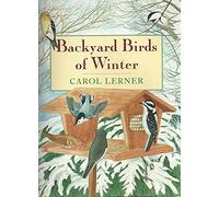 Backyard Birds of Winter