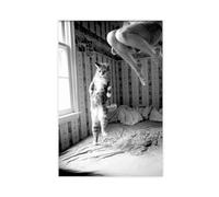 bacrhjlb Woman And Cat Jumping on The Bed Poster Canvas Poster Wall Art Decor Print Picture Paintings for Living Room Bedroom Decoration Unframe-style 12x18inch(30x45cm)