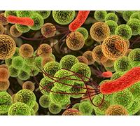 Bacteria: Heroes and Villains