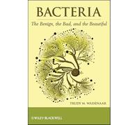 Bacteria: The Benign, the Bad, and the Beautiful