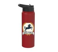 Bactria Ancient Bactrian Kingdom Symbol Stainless Steel Insulated Water Bottle