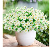 Bacucine 12 Bundles Artificial Daisies Plastic Flowers Fake Daisy for Outdoors Faux Plants for Home Window Box Hanging Planter Garden Decor (White)