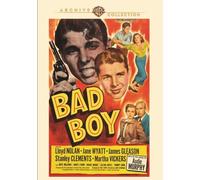 BAD BOY NEW REGION 1 DVD