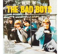Bad Boys - The Best Of The Bad Boys (1 CD)