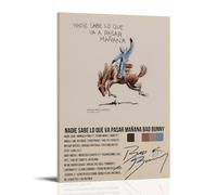 Bad Bunny Nobody Knows What Will Happen Tomorrow Anti Splash Art Posters Living Room And Bedroom Hanging Paintings Suitable for Multiple Scenarios No Need for Punching Easy to Install Suitable for Gif