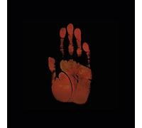 Bad Debt by Hiss Golden Messenger