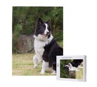 Bad Dog Border Collie,500 Pieces Wooden Jigsaw Family Game Jigsaw Puzzles for Adults Teens