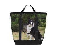Bad Dog Border Collie,Lunch Bags Large Capacity Insulated Tote Bag For Women Men Work Picnic Travel