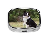 Bad Dog Border Collie,Meta Pill Box 2 Compartment Medicine Case,Portable Organizer,Rectangle Meta Portable Organizer Pill Box 652 Compartment Medicine Case