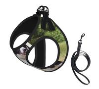 Bad Dog Border Collie,Pet Harness,Adjustable Reflective Dog Harness,Pet Leash Vest,M