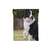 Bad Dog Border Collie, Squeeze Top Wallet Women Storage Bag Small Coin Purse Change Pouch