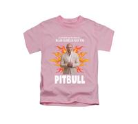 Bad Girls go to... Mr Worldwide Joke Tee T-Shirt Funny Unisex T Shirt Top Baby Pink