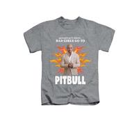 Bad Girls go to... Mr Worldwide Joke Tee T-Shirt Funny Unisex T Shirt Top Heather Grey