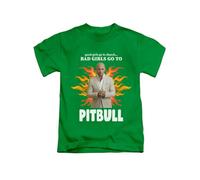 Bad Girls go to... Mr Worldwide Joke Tee T-Shirt Funny Unisex T Shirt Top Irish Green