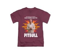 Bad Girls go to... Mr Worldwide Joke Tee T-Shirt Funny Unisex T Shirt Top Maroon