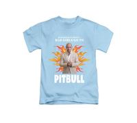 Bad Girls go to... Mr Worldwide Joke Tee T-Shirt Funny Unisex T Shirt Top Sky Blue