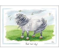 Bad hair day - Humorous Horse themed greeting card