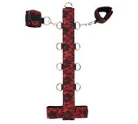 Bad Kitty - Asian Arms to Neck Bondage Set (Red-Black)