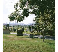 Bad Luck. - Take What You Need (Evergreen Cemetery) [Vinyl LP] [VINYL]