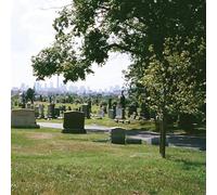 Bad Luck. - Take What You Need (Evergreen Cemetery) [Vinyl LP] [VINYL]