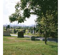 Bad Luck. - Take What You Need [New Vinyl LP] Colored Vinyl, Green