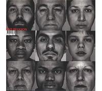 Bad Religion The gray race LP multicolor Onesize