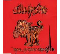 Bad, wicked and wild (Pump and Spray Mix)