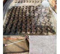 BADASS SHARKS 50 Pellets- 30mm Compost Plug Pellets