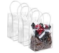 BadenBach 12 PCS Clear Gift Bags with Handle, 7.87" x 7.87" x 3.15",Small Transparent Plastic Gift Bags Bulk Reusable Clear Party Favors Goodie Bag for Birthday Party Wedding Baby Shower Festival