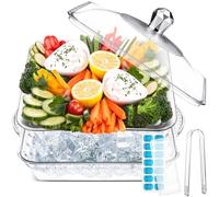 Baderke 1 Set 9" Chilled Serving Tray for Parties with Compartments Ice Chilled Party Platter with Lid Tableware Charcuterie Serving Board for Fresh Food Fruit Seafood Vegetable Appetizer(Silver)