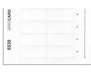 Badgepoint Magnetic Name Signs Print Kit for Polar 30 180 Name Card (10 Sheets, 65 x 30 mm