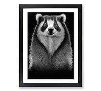 Badger In Monochrome Framed Wall Art Print A2 Black
