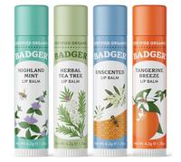 Badger Organic Lip Balm Sticks Set of 4 | Mint, Tea Tree, Unscented & Tangerine