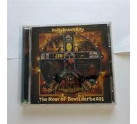 Badly Drawn Boy - Hour of The Bewilderbeast