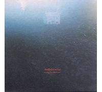 Badly Drawn Boy - It Came From the Ground