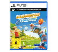 Badminton Time VR (PS VR2) - PS5