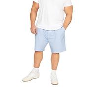 BadRhino Big & Tall Light Stripe Chino Shorts - Men's - Plus Size Curve Blue