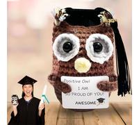 BAEIDO 2025 Graduation Gifts Positive Owl, Funny Handmade Crochet Pickle Grad Gifts for Her Him, Unique Keepsake for High School College University Nurse Graduates