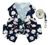 BAEJMJK Dog Harness and Leash Set Bowknot No Pull Pet Harness with D Ring Soft Mesh Escape Proof Princess Puppy Harness for Little Girls Dogs Cats