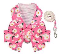 BAEJMJK Dog Harness and Leash Set with Bow Knot No Pull Pet Daisy Floral Harness with D-Ring Soft Mesh Dog Harness Vest Set Escape Proof Princess Puppy Harness for Small Girl Dogs Cats（Pink M）